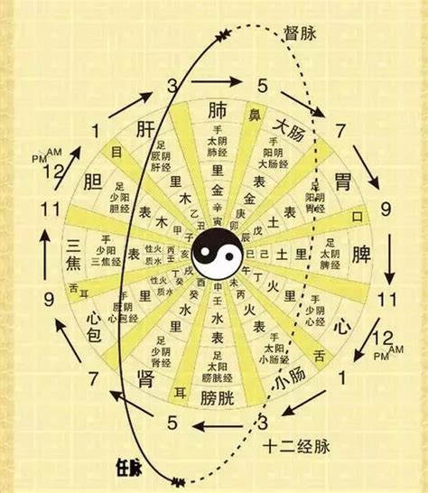 中醫時辰表|人體經絡十二時辰對照表，選對時間，經絡養生事半功。